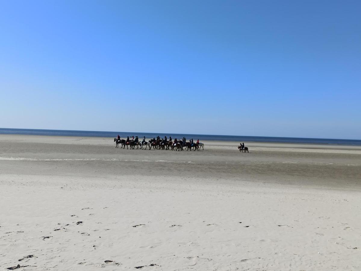 Gite Les Chalets Du Fliers Verton Meubles De Tourisme Classes 2 Etoiles Berck 외부 사진